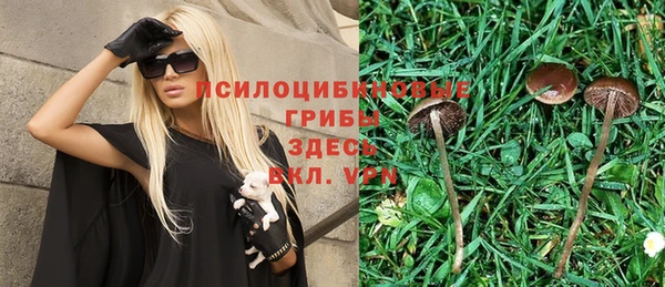 2c-b Арсеньев