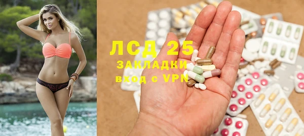 a pvp Аркадак