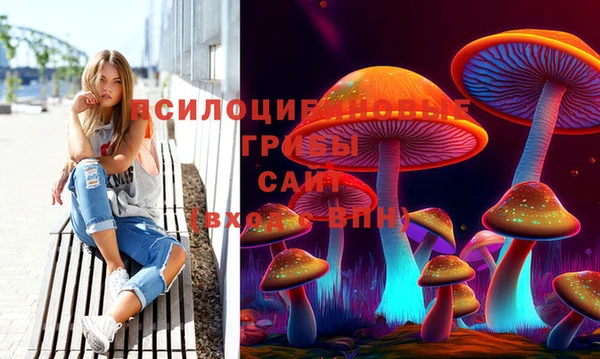 a pvp Аркадак